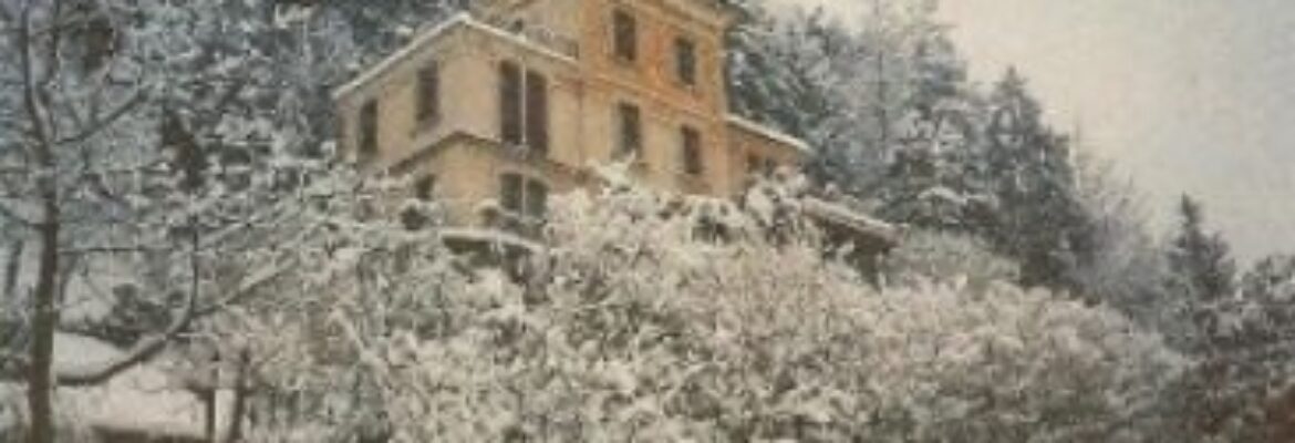 Villa Liberty