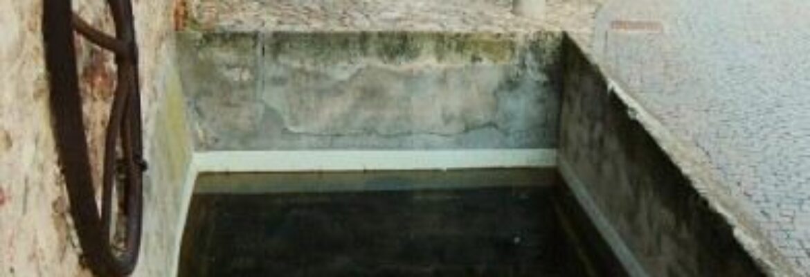 Fontana Del Petrarca