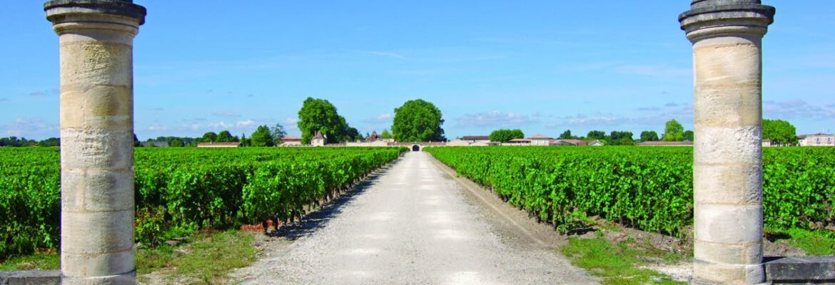 Tour guidato dei grandi vini Cabernet del Médoc
