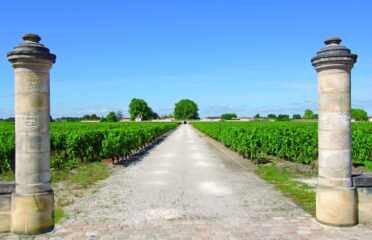Tour guidato dei grandi vini Cabernet del Médoc