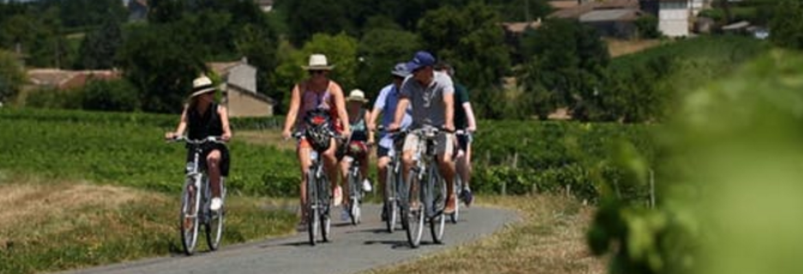 Tour in bici dei vini di Saint-Emilion