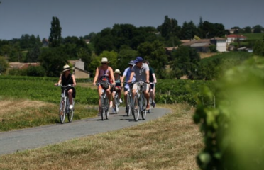 Tour in bici dei vini di Saint-Emilion
