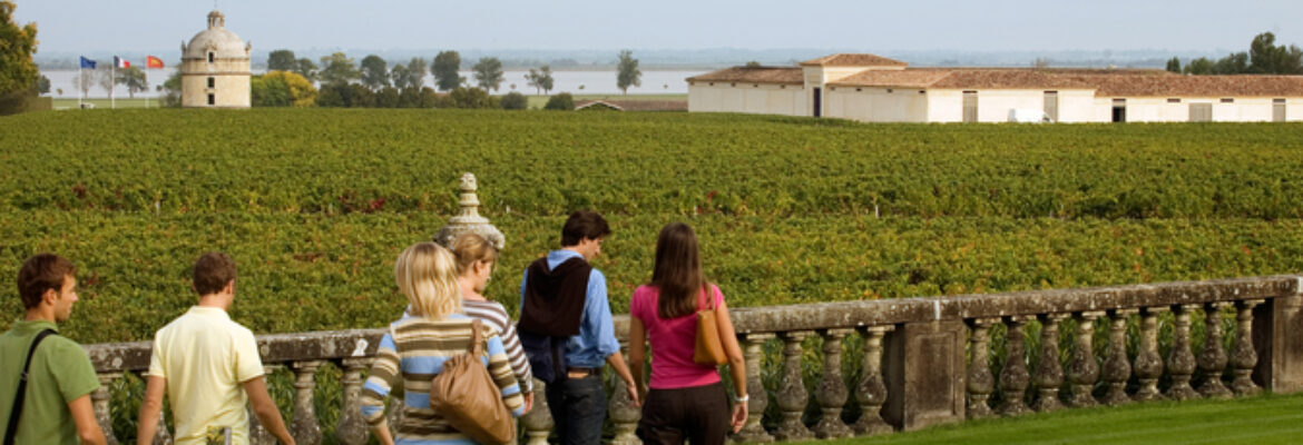 Escursione di mezza giornata tra i vigneti con degustazione di vini Bordeaux