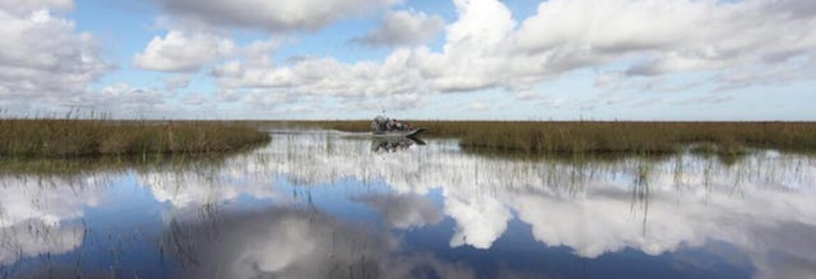 Biglietti d’ingresso al parco divertimenti di Sawgrass