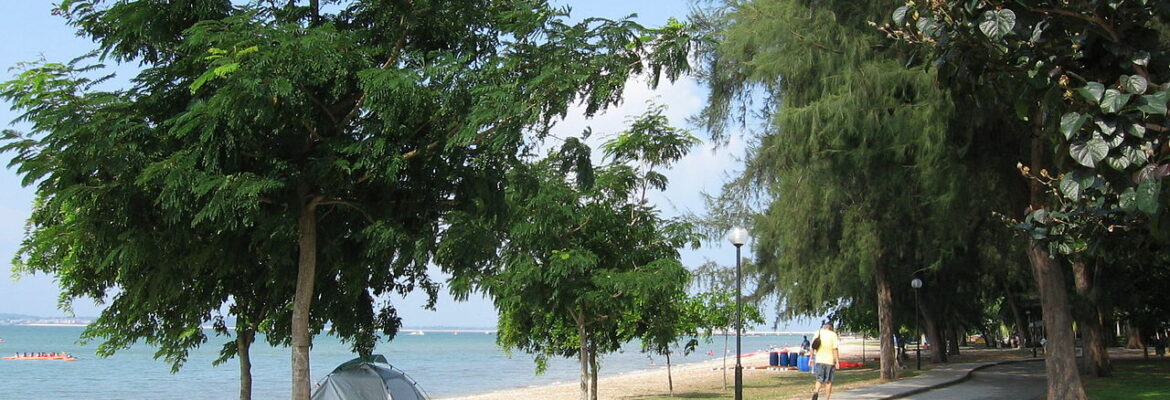 Parco Changi Beach
