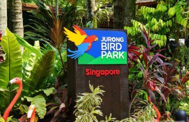 Parco Ornitologico Jurong