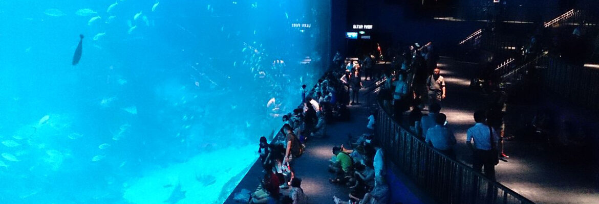 SEA Aquarium