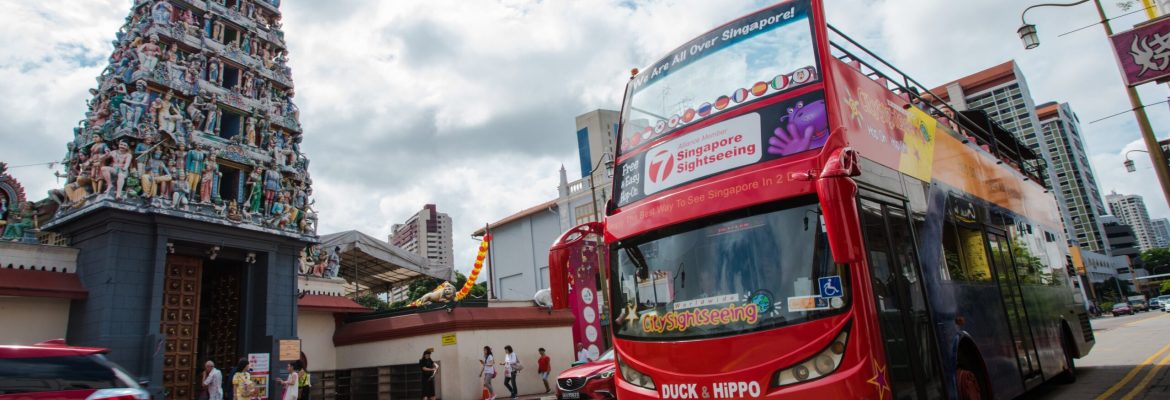 Tour in autobus hop-on hop-off di Singapore