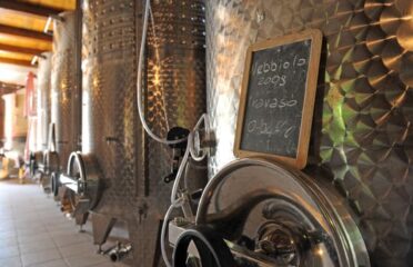 Visita in cantina e degustazione di tre vini DOC Fontechiara
