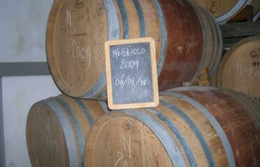 Visita in cantina e degustazione di quattro vini DOC Fontechiara